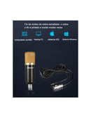 Microfone Profissional QA-T595