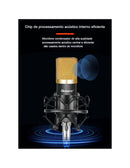 Microfone Profissional QA-T595