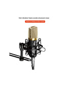 Microfone Profissional QA-T595