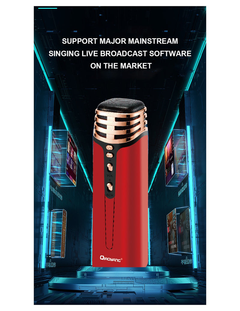 Microfone Sem Fios Karaoke QA-T635